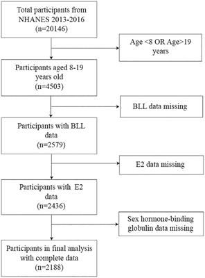 Association of blood lead with estradiol and sex hormone-binding globulin in 8-19-year-old children and adolescents